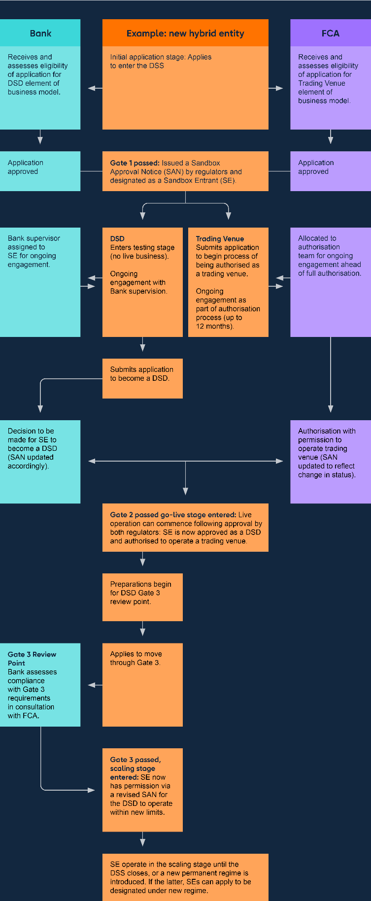 Bank of England flowchart of a hybrid entity's pathway through the DSS, with the Bank's and the FCA's parallel assessment tracks