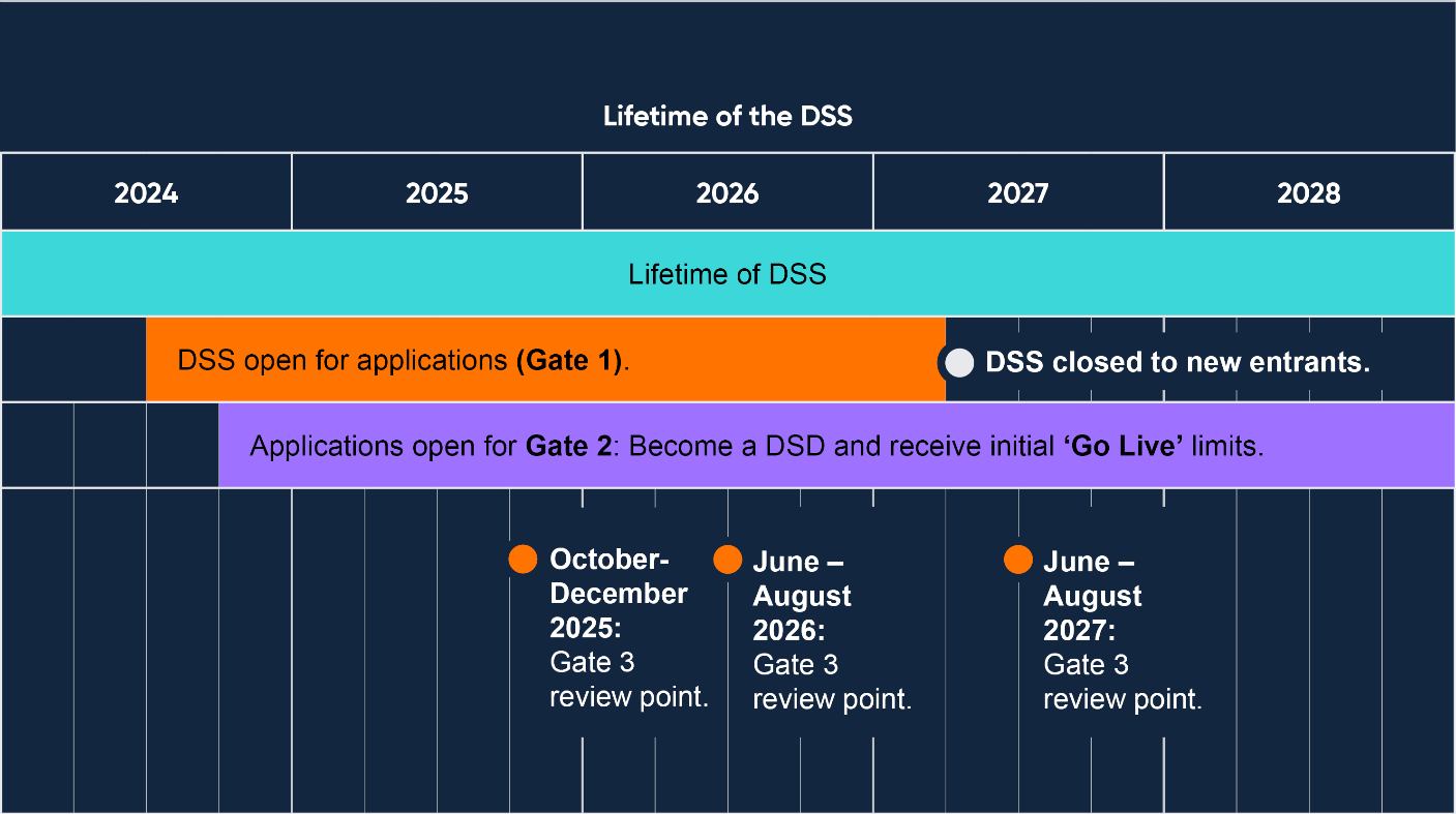 Bank of England timeline of the DSS from 2024 to 2028, showing when it closes to new entrants and the Gate 3 review points